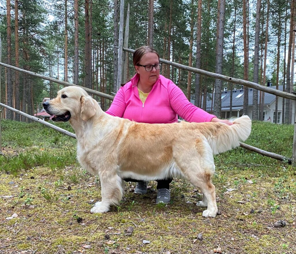 Vilma